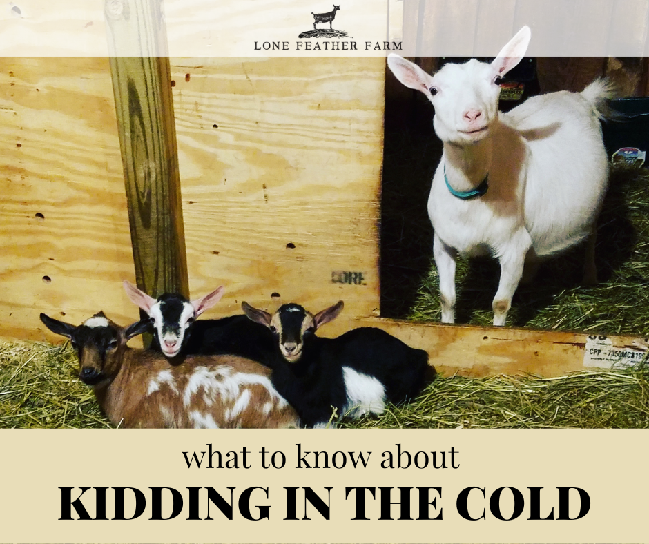 The Complete Kidding Kit — Lone Feather Farm